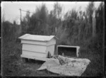 Moving bees from one beehive to another, 1921.