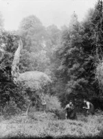 Mock moa hunt, Botanical Gardens, Dunedin