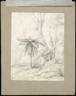 Swainson, William, 1789-1855 :Native potato house, Hawkshead, River Hutt / W.S.3 Nov 1843 - 54 [1854]