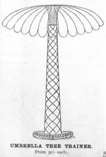 A. W. Buxton Ltd. : Wire and iron work; umbrella tree trainer. [1905?]