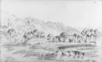 [Baigent, Amos], fl 1860-90s :Takaka. [1860-70s].