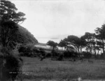 Brusewitz, Henry Elis Leopold, b ca 1855 :Day's Bay, Lower Hutt