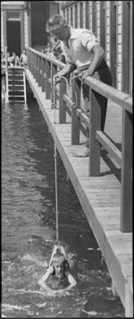 Assistant at Te Aro Baths, Wellington, teaching a boy to swim