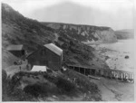 Landing slip, engine house and store, at Port Robinson, Canterbury