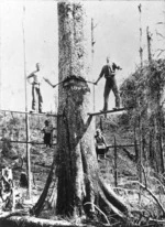 Tree chopping for Gamman's Mill, Ohakune