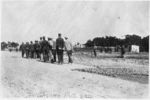 Relief workers pulling a chain harrow at Petone