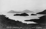 Elaine Bay, Pelorus Sound, photographed by David James Aldersley, 1862-1928
