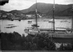 Ship and rowing regatta, Picton