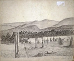Florance, Augustus H, 1812-1879 :Palmerston North. 1876