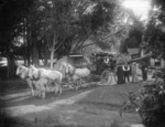 Horse drawn coach alongside the Athenree Post Office and Athenree homestead, Tauranga district