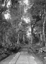 Bush railway line, Erua