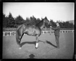 Racehorse Phar Lap, and handler, at Hugh Telford's stables, Trentham, Upper Hutt