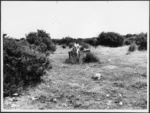 Julie Cohen with remains of Shamrock Hotel, Addisons Flat