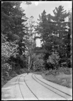 Railway track in the Mount Stuart locality on the branch line to Roxburgh