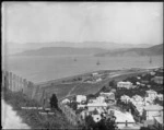 Overlooking Thorndon and Wellington Harbour