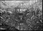 Glasshouse fernery at Dunedin Botanic Garden