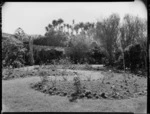 Rose garden at Homewood, Karori, Wellington