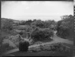 View of drive and garden at Homewood, Karori, Wellington
