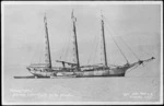 Sailing ship Kainan Maru, Wellington Harbour, during Japan's first expedition to Antarctica - Photograph taken by Joseph Zachariah