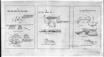 [Blackett, John] 1818-1893 :[Sketches of sites for South Island lighthouses. 1875] Akaroa Head shewing two sites. Flat Point showing site C. Cape Saunders shewing two sites.
