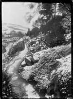 View of the Dunedin Botanic Garden after a snowfall