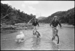 Cyclists on the Five Mile Track to the Orongorongo Valley