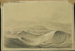 Swainson, William, 1789-1855 :[Somes Island, Wellington] 1845.
