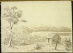 Swainson, William, 1789-1855 :Scene on Manawatu River, New Zealand. 1845.