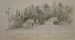 Taylor, Richard, 1805-1873 :The grove in which the capt. of the Boyd was murdered at Wangaroa. A cabin. Feb 1842.