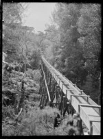 View of a water race leading to the Bryant Home, over a gully at Raglan.