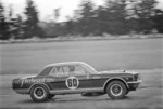 Ford Mustang driven by Ivan Segedin, racing in Levin