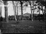 One Tree Hill from Cornwall Park, Auckland