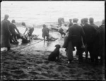 Men hauling wreckage and a body on beach at Cape Terawhiti, Wellington, after the wreck of the ship Penguin