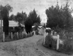 Grounds at hotel, Wairakei; Mt Tauhara in background