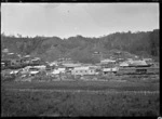 Mangapehi settlement