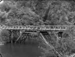 Car crossing a road bridge across the Mangahao River, near Mangahao