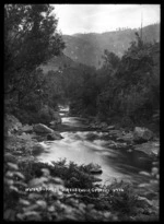 View of the water supply to the Opotiki Reservoir