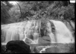 Coal Creek Falls, Greymouth