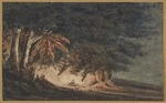 [Halcombe, Edith Stanway (Swainson)] 1844-1903 :Camping out. Night scene. [Camp fire below tree fern] [1870s?]