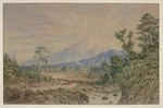 Barraud, Charles Decimus, 1822-1897 :Mount Egmont. 1888