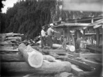 Timber workers sawing logs at a timber mill, probably in the Hastings region
