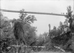 Livingstone sawmill tram bridge