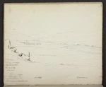 Mantell, Walter Baldock Durrant, 1820-1895 :Saty. Dec 18, 1852, looking west. Second scrub at Awairakamaio.