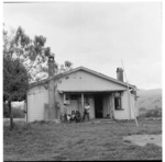 Scenes of tobacco farming, Motueka