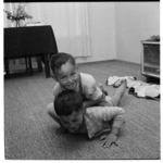 Young Maori boys being taught the haka, playing, and watching a man shave, all at Stokes Valley