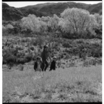 Hutt River, and forestry worker, Upper Hutt area