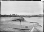 Kopua Village at the mouth of the Wainui Stream, 1910 - Photograph taken by Gilmour Brothers
