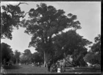 A group in a picnic area at Waitati, 1926.