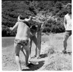 Summer university congress at Curious Cove, Marlborough Sounds, 1971