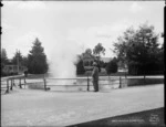 Geyser in the Sanatorium grounds, Rotorua - Photograph taken by Thomas Pringle